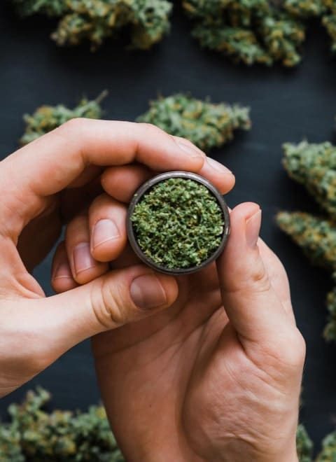 medical-marijuana-img-hemp-2 medical-marijuana-img-hemp-2