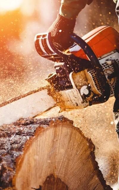 tools-img-saw-2 tools-img-saw-2